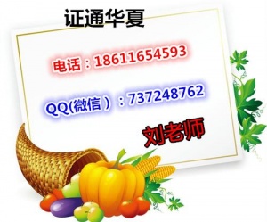 株洲去哪学塔吊信号工挖掘机 怎报名叉车