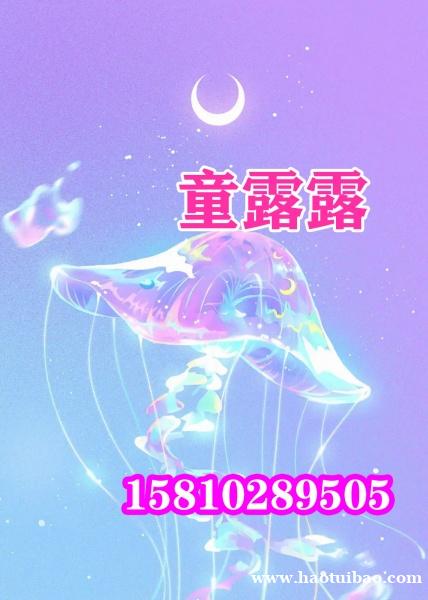 北京技术类别公司三个车指标一拖三干净无异常费用低 北京技术类别公司三个车指标一拖三干净无异常费用低