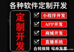 江西定制化软件开发网站建设的网络公司找哪家