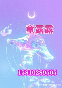 香港注册地的中国开头公司名称非常大气