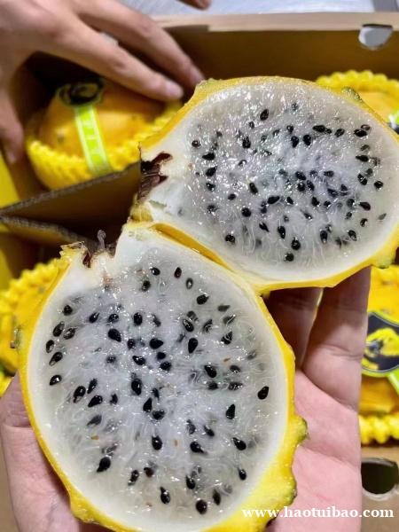 进口麒麟果热带水果天津港进口清关流程 进口麒麟果热带水果天津港进口清关流程