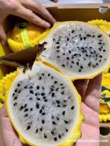 进口麒麟果热带水果天津港进口清关流程