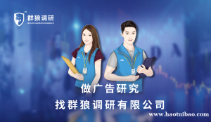 群狼调研（湖南市场调查）广告效果测评的关键指标