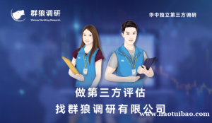 群狼调研（靠谱问卷调查执行）社会公益第三方评估报告模版