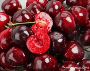 智利车厘子进口天津港仓储报关送货