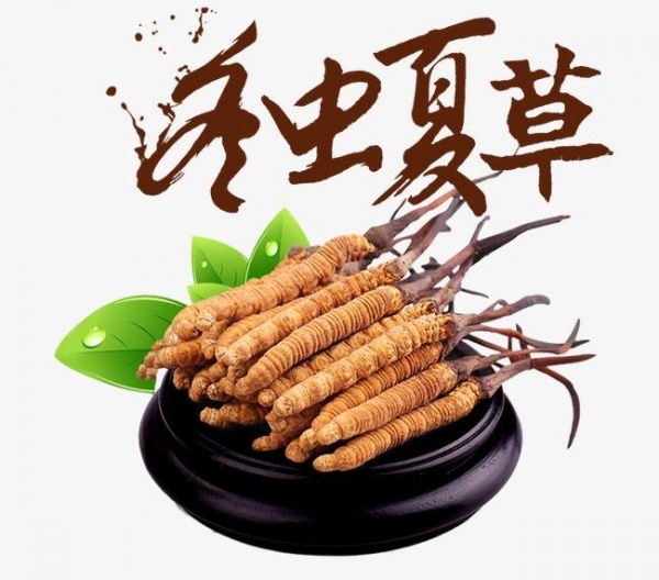 九江市回收冬虫夏草-按产地-规格-等级-干度-品相判断克价
