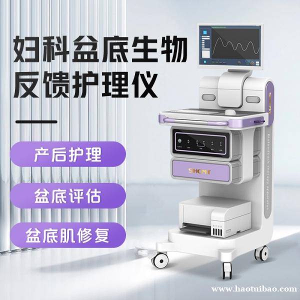 盆底肌肉康复修复仪 产后盆底肌康复仪器 产后盆底肌康复 盆底肌肉康复修复仪 产后盆底肌康复仪器 产后盆底肌康复