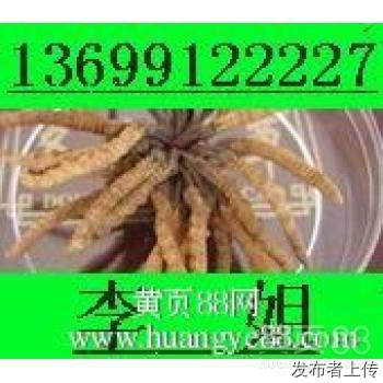 常州13699122227回收冬虫夏草海参燕窝东阿阿胶片仔癀安宫牛黄丸