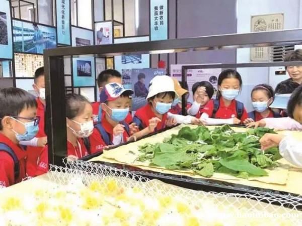 苏州三六六社会实践青少年研学之旅索桑蚕文化传承丝绸文明 苏州三六六社会实践青少年研学之旅索桑蚕文化传承丝绸文明