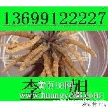 东阳回收冬虫夏草东阿阿胶片仔癀安宫牛黄丸鱼胶鹿茸 东阳回收冬虫夏草东阿阿胶片仔癀安宫牛黄丸鱼胶鹿茸