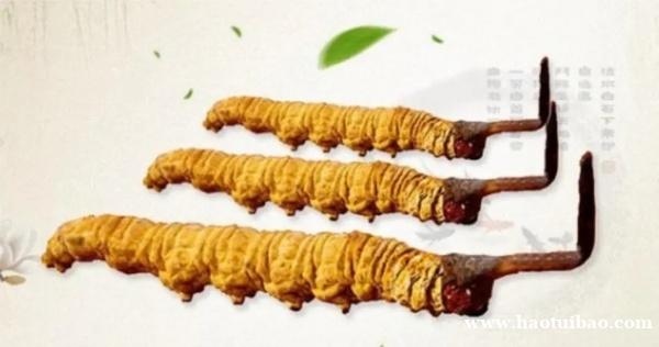 成都市社区回收礼品冬虫夏草1条1克1两1市斤1公斤价格 成都市社区回收礼品冬虫夏草1条1克1两1市斤1公斤价格