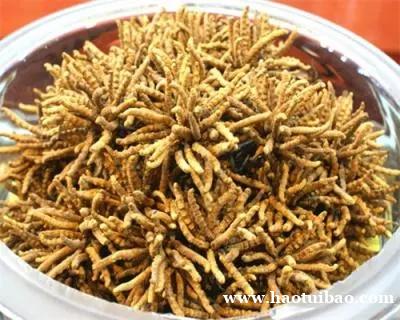 南昌市社区回收礼品冬虫夏草1条1克1两1市斤1公斤价格 南昌市社区回收礼品冬虫夏草1条1克1两1市斤1公斤价格