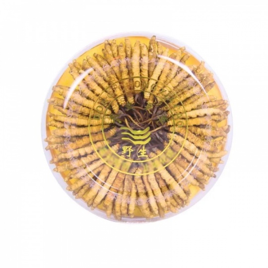 哈尔滨市社区回收礼品冬虫夏草1条1克1两1市斤1公斤价格