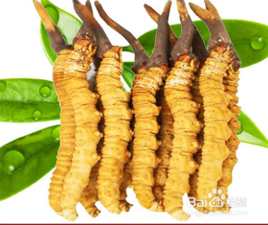 13699122221长沙市回收冬虫夏草之原藏草\川草\青草\现礼品草价格