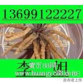 13699122227天津市收购冬虫夏草片仔癀东阿阿胶安宫牛黄丸海参燕窝价格之间