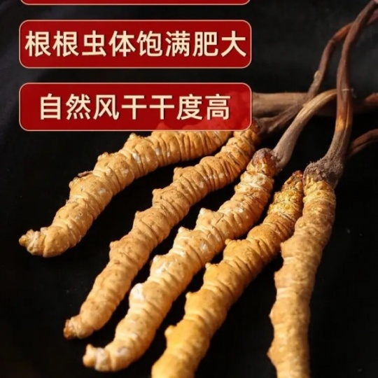 天津市回收冬虫夏草价格13699122221中上级产品69元至158元