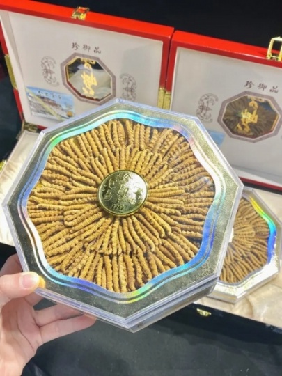 太原市回收冬虫夏草价格13699122221中上级产品69元至158元