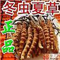 长沙回收购冬虫夏草电话13611113234茅台酒红酒洋酒老酒价格